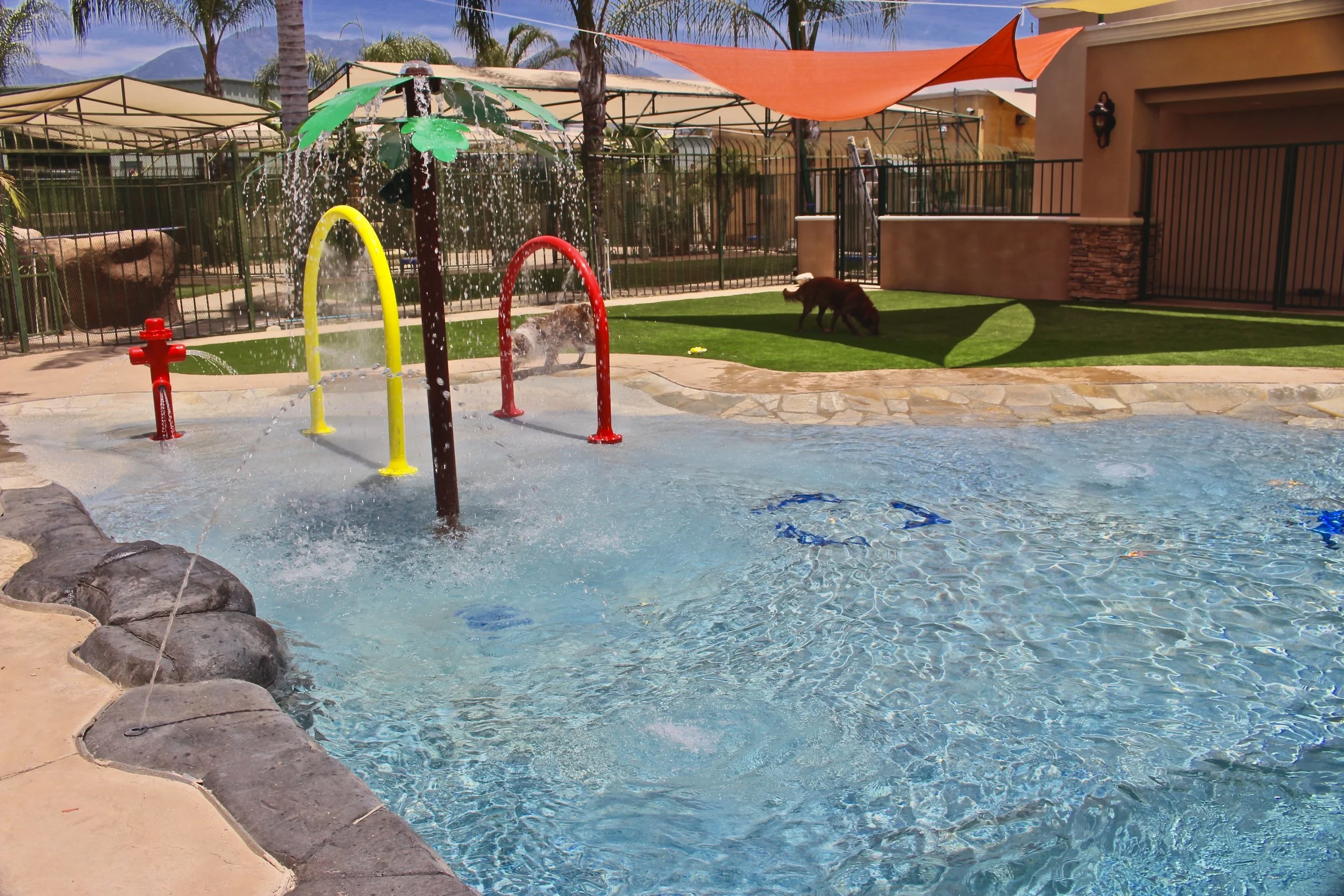 Upland — Heavenly Pet Resort
