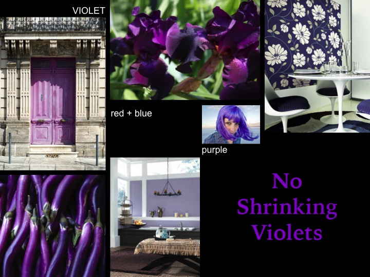 Sherwin-Williams CEU – No Shrinking Violets