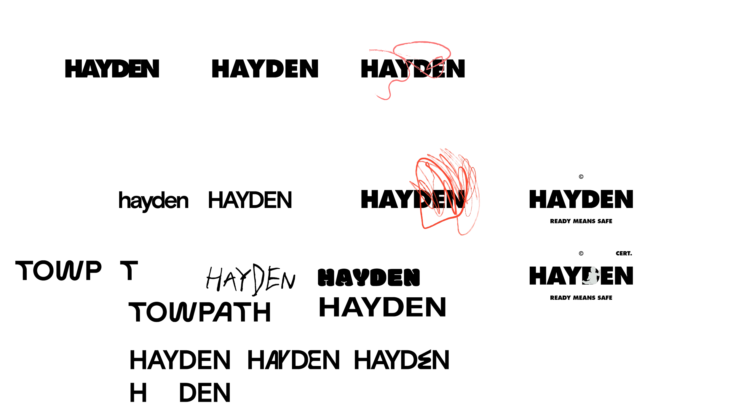 HAYDEN IDENTITY 1-01.png