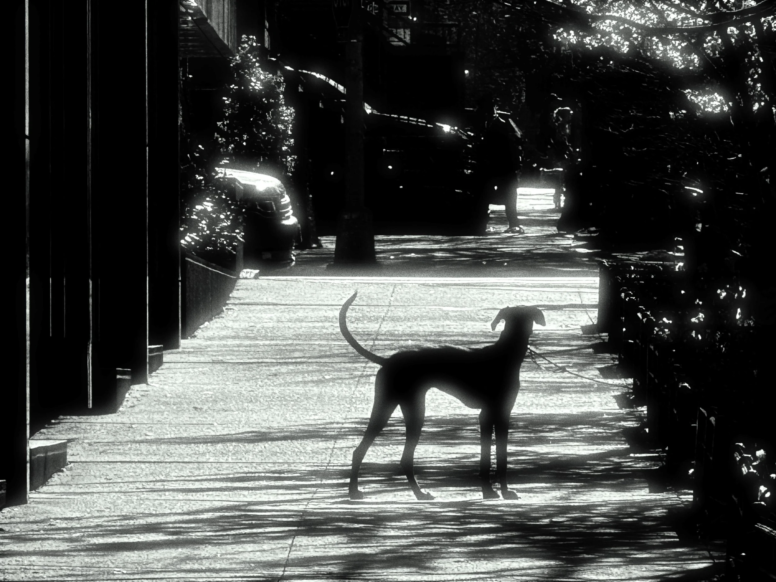 RNI-Films-IMG-0E97821A-8612-4D59-812E-4C26F6C18DE7.JPG