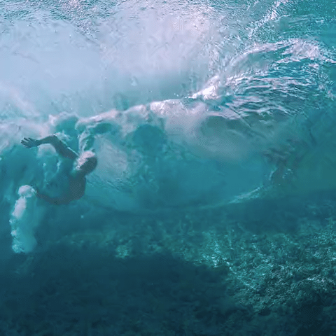 AMASS IG Animation 6 FINAL-low (1).gif