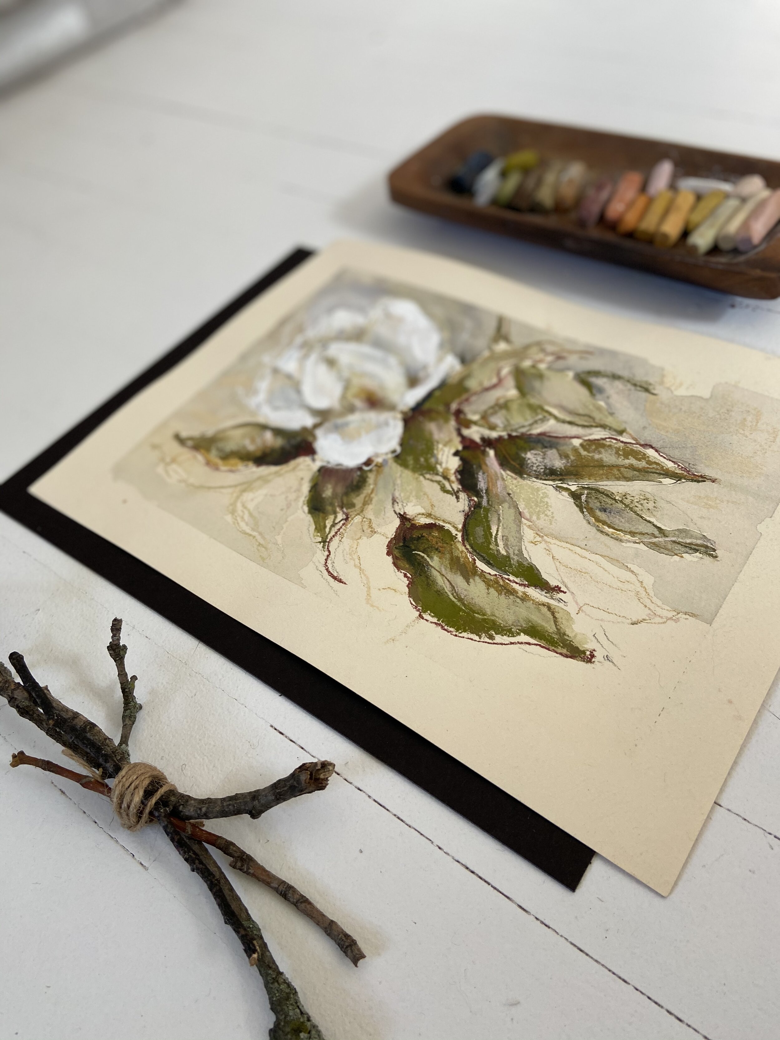 storyteller-photo-magnolia.jpg