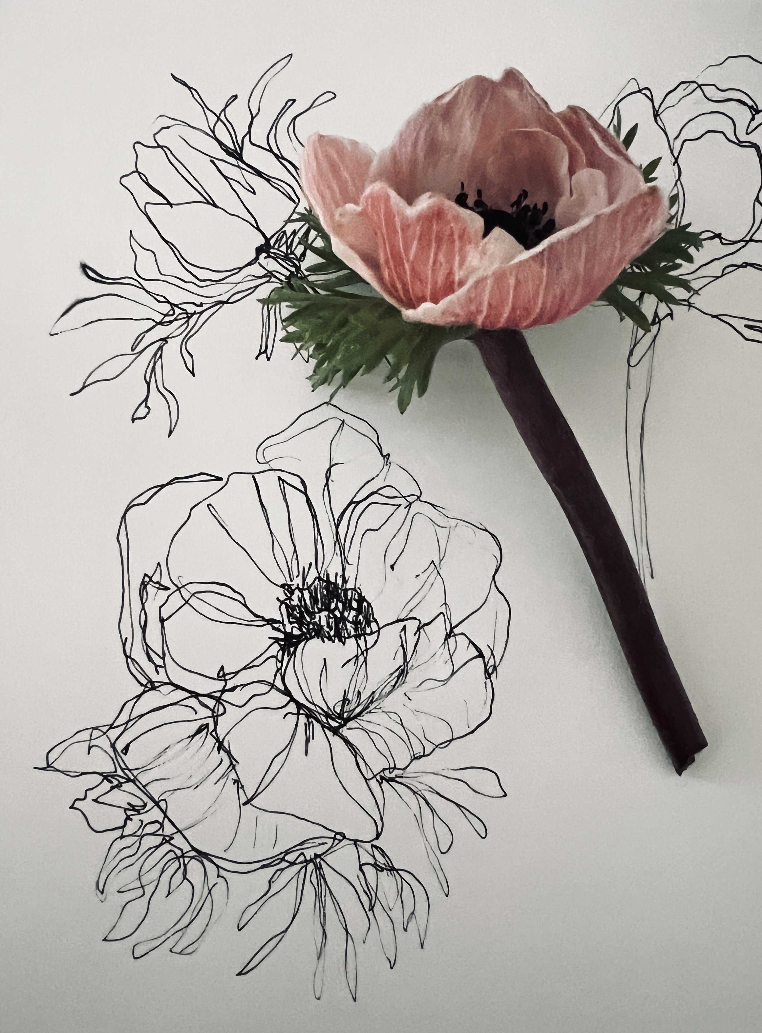 30 Easy Flower Drawing Ideas