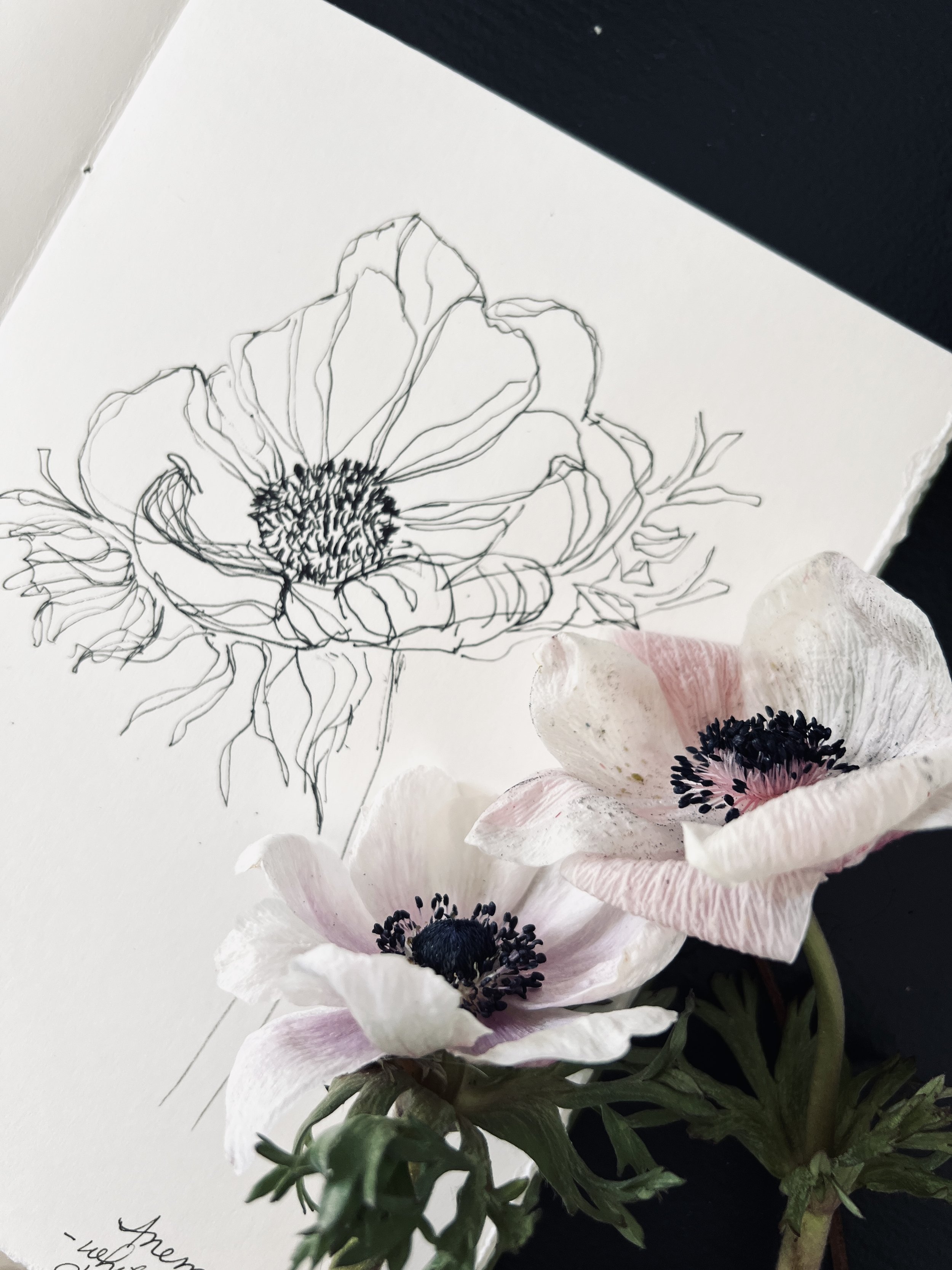 Oil Pastel Flower Drawings - How To Draw Pretty Flowers