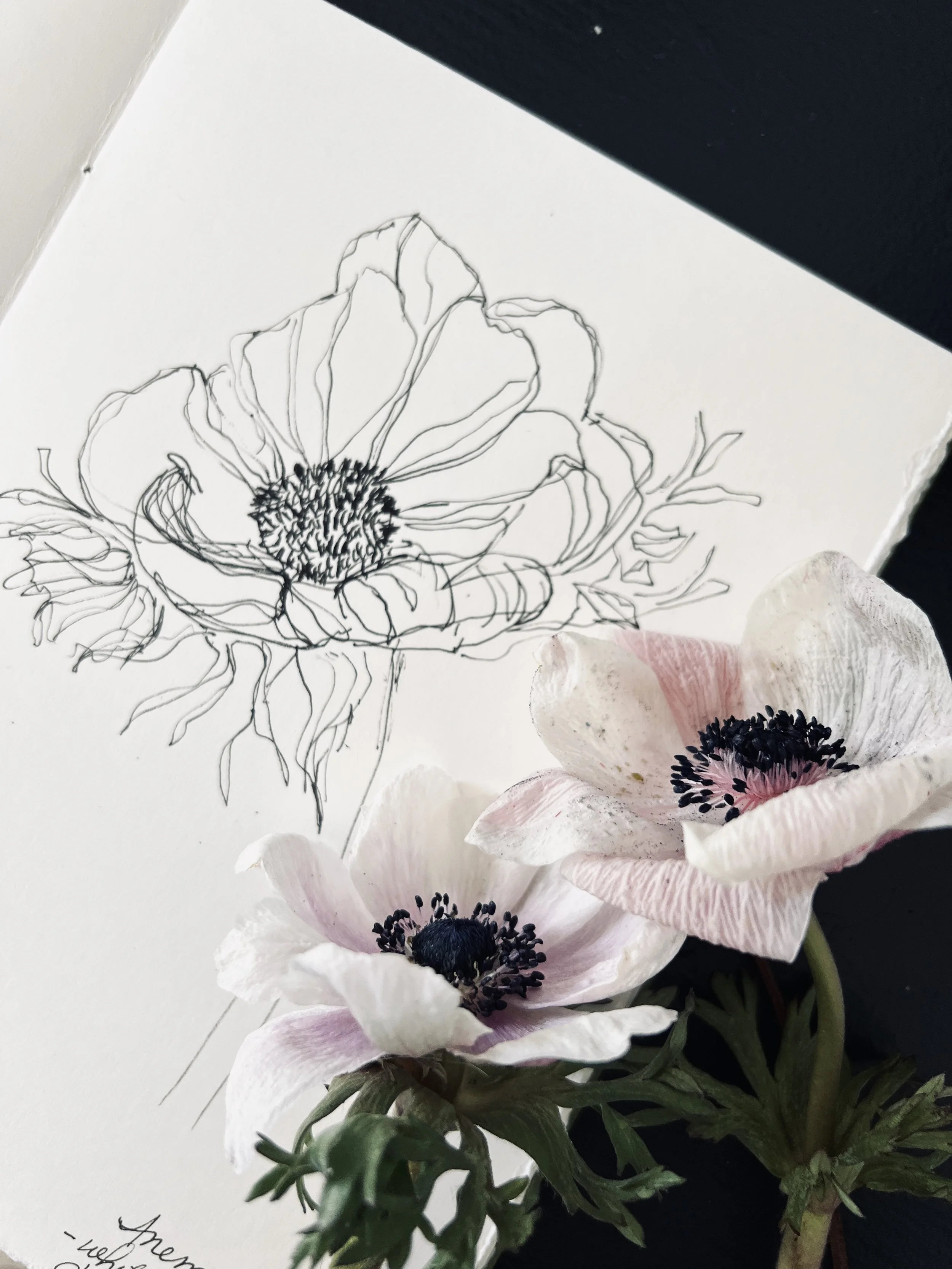 Flowers & Contour Drawing