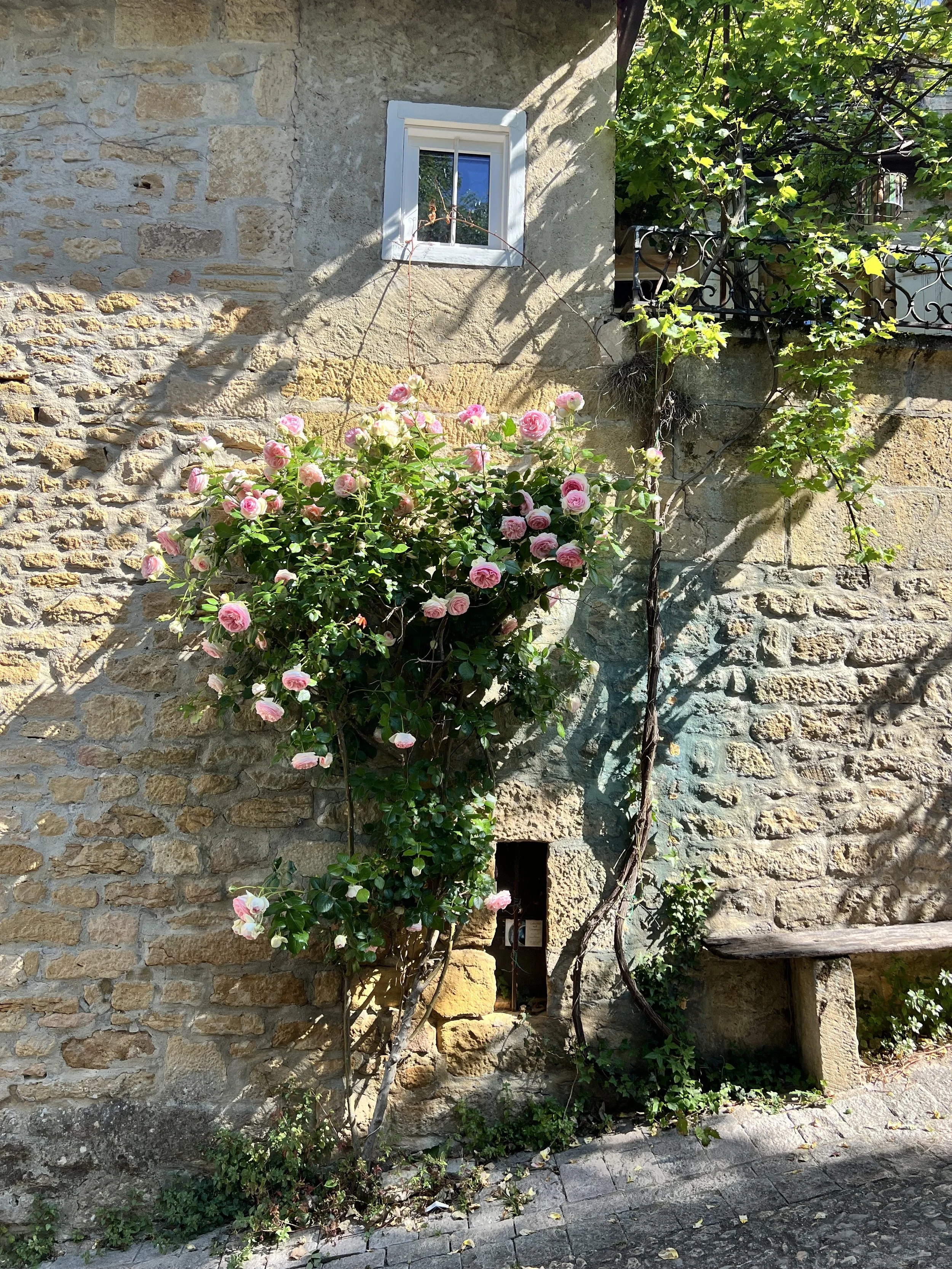 france-3.jpg
