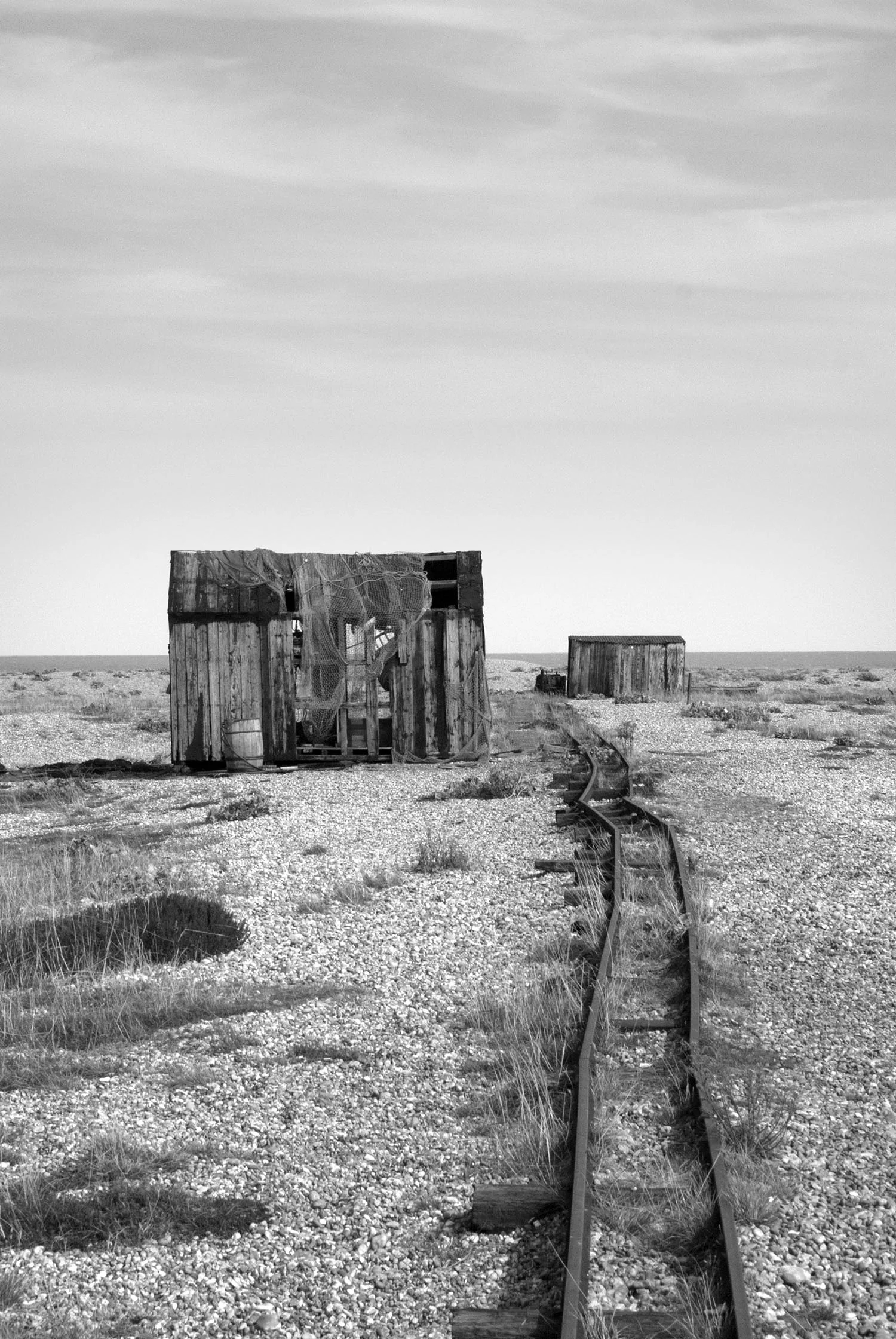 12.08.12_Dungeness_12.jpg