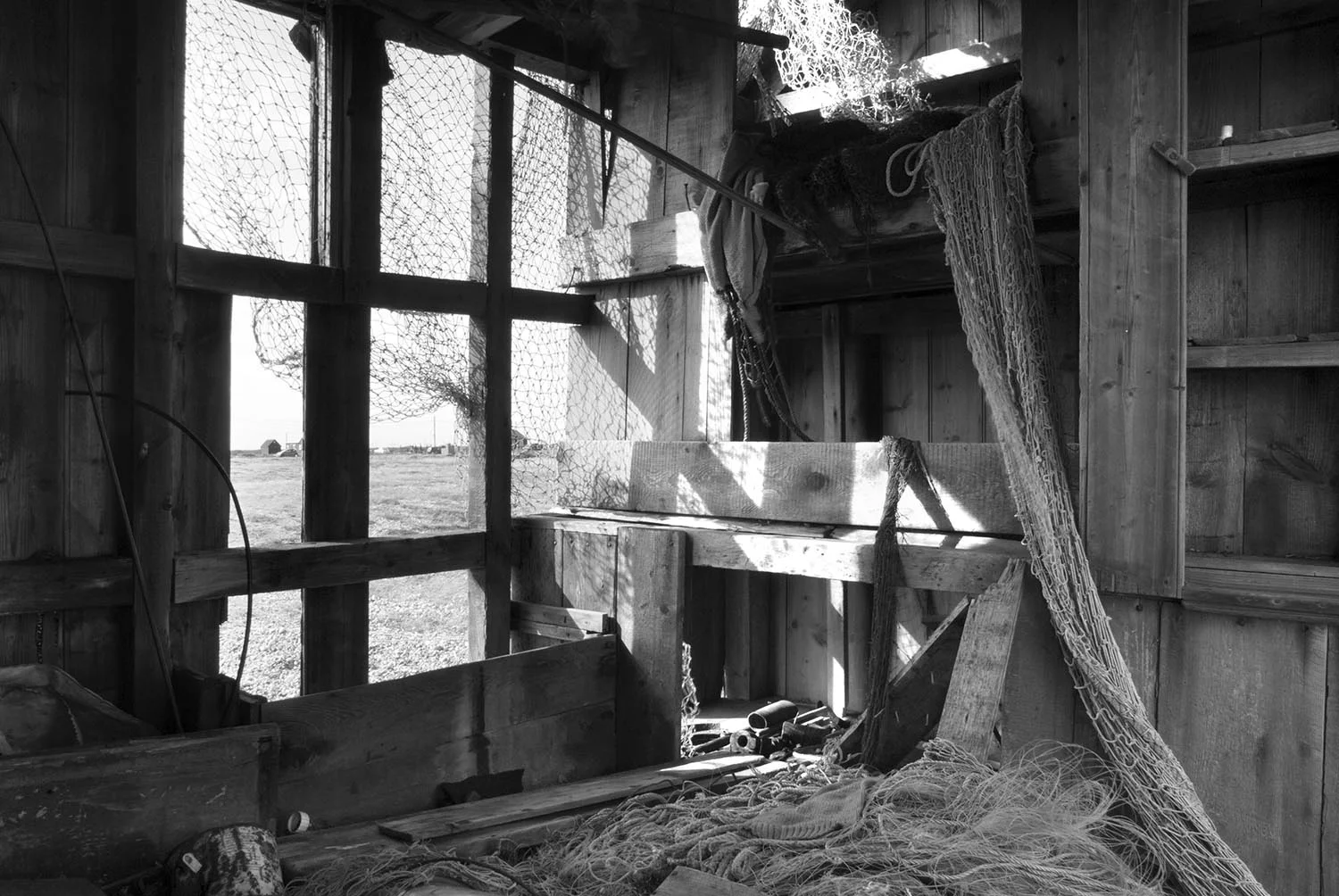 12.08.12_Dungeness_15.jpg
