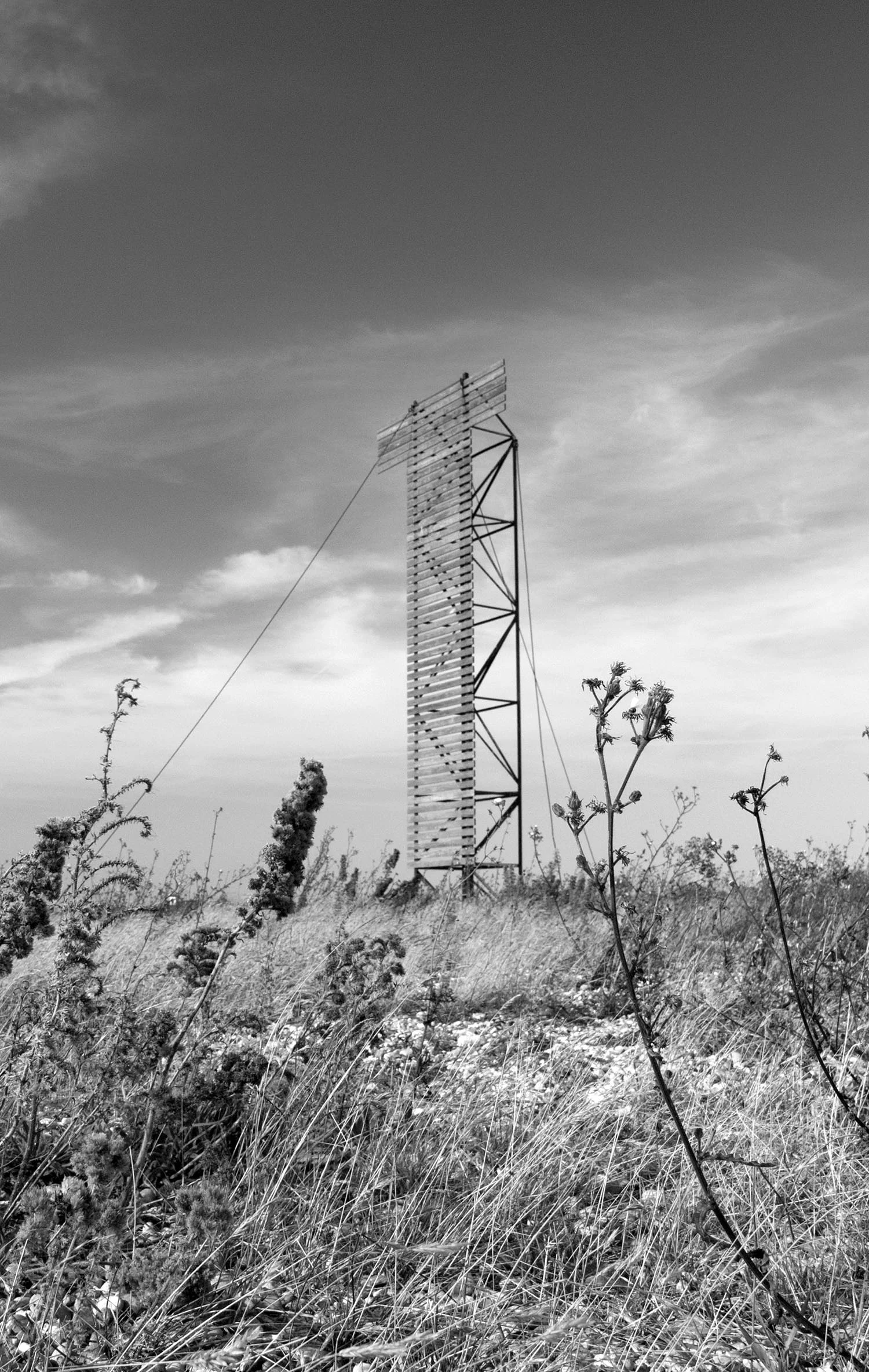 12.08.12_Dungeness_24.jpg