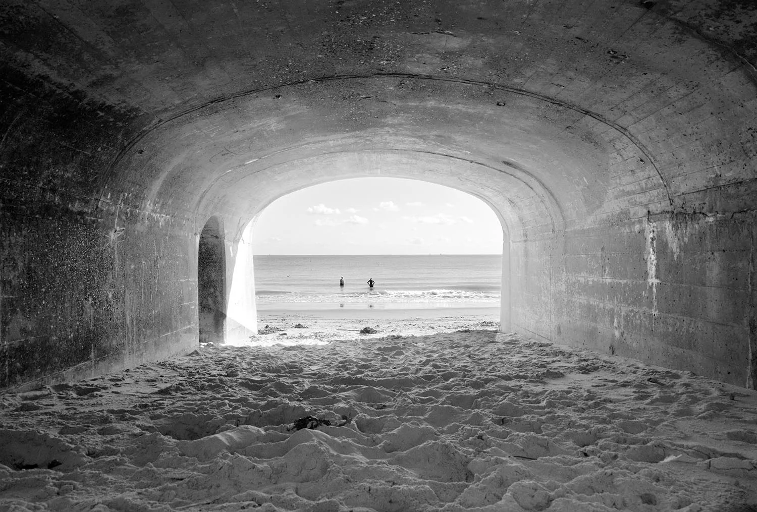 DSC_0094bw.jpg