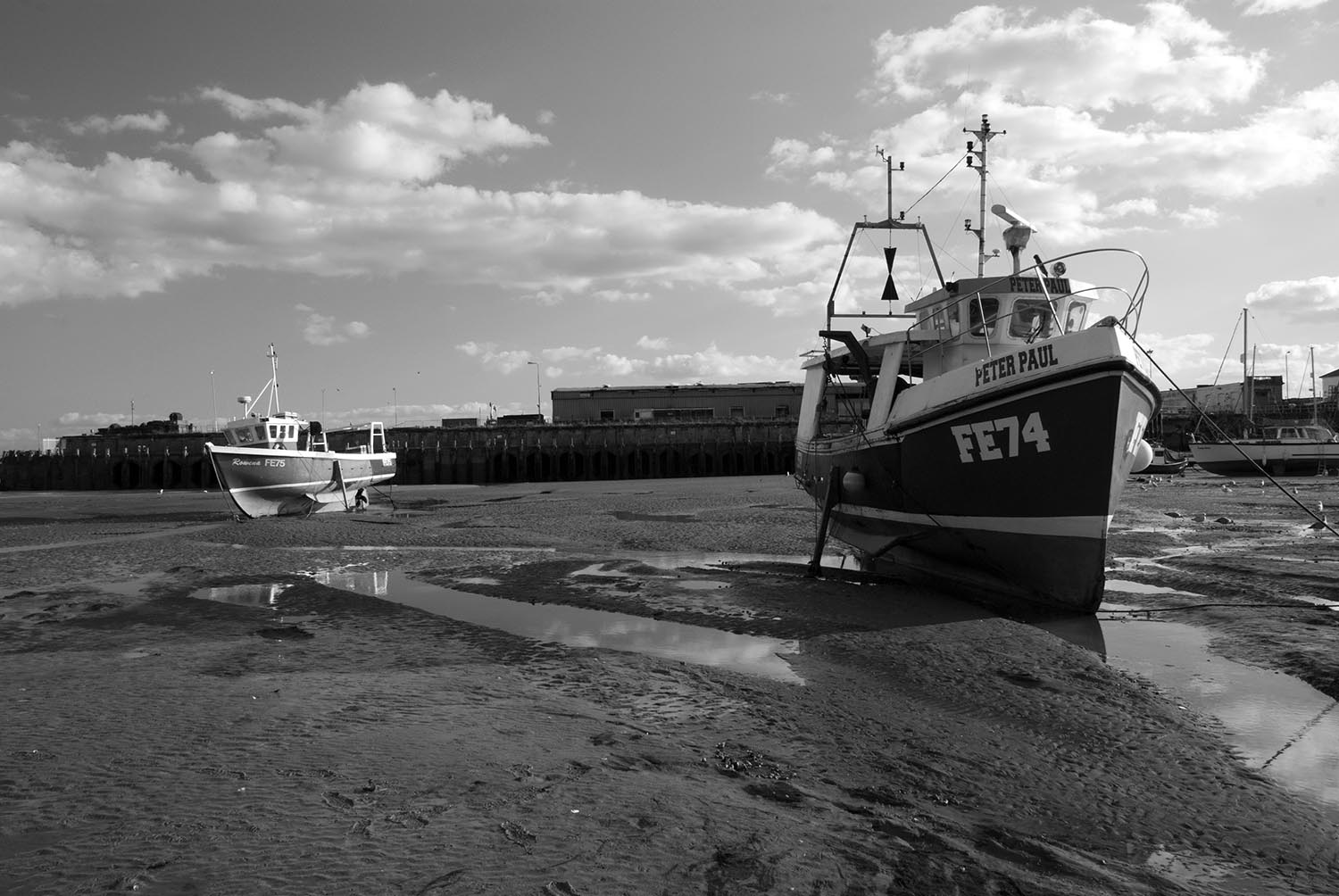 DSC_0319bw.jpg