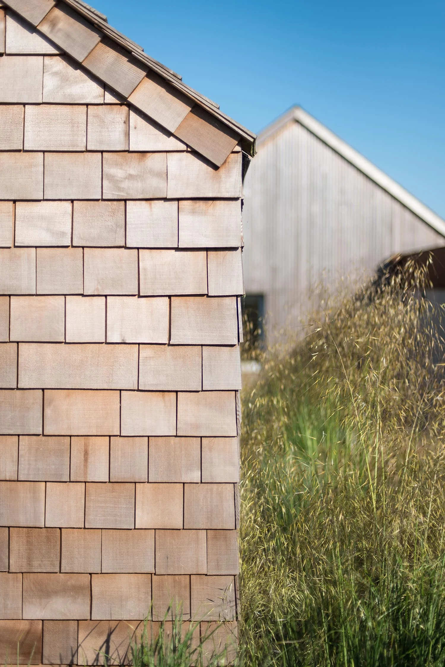 Hillside_Ashley Gendek_RX Architects (34).jpg