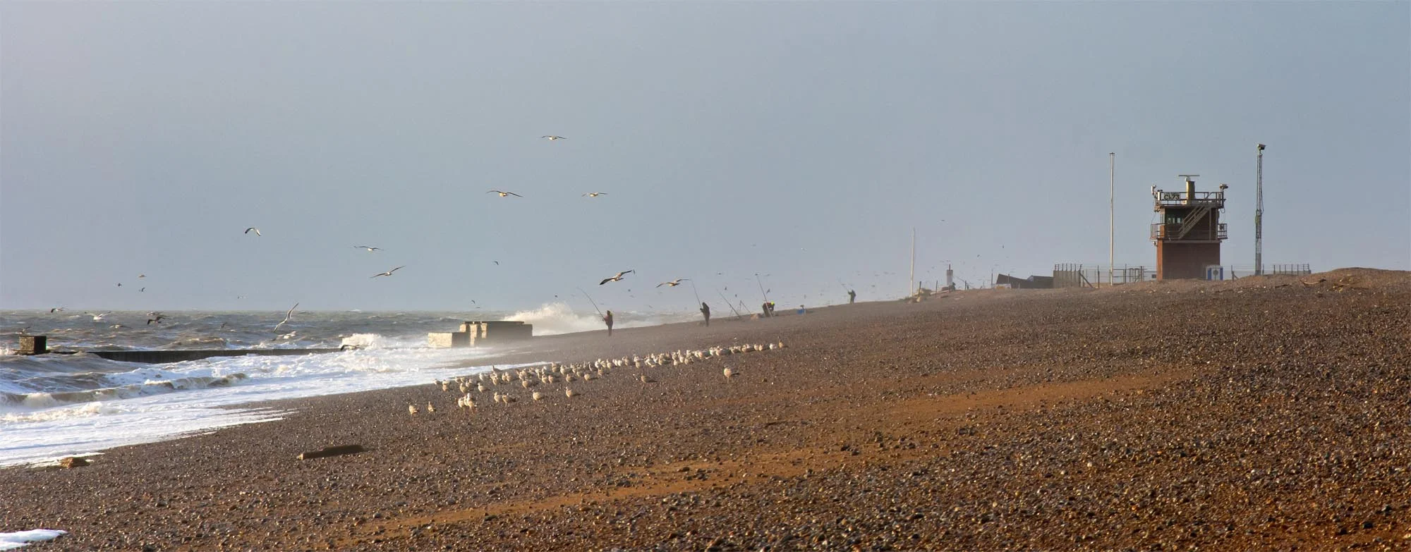 14.01.03_Dungeness_08.jpg