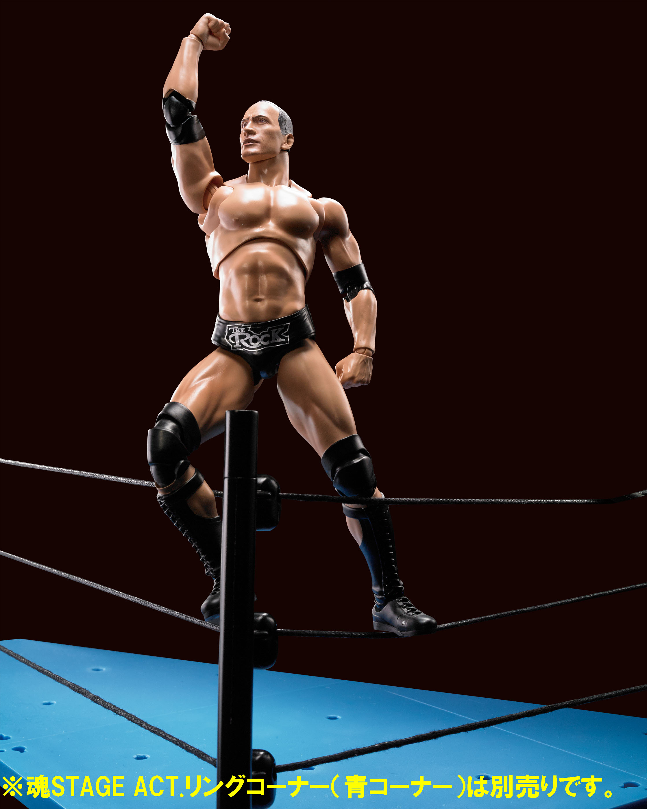 SHF The Rock_09.jpg