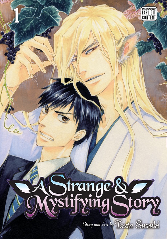 A Strange And Mystifying Story GN01.jpg
