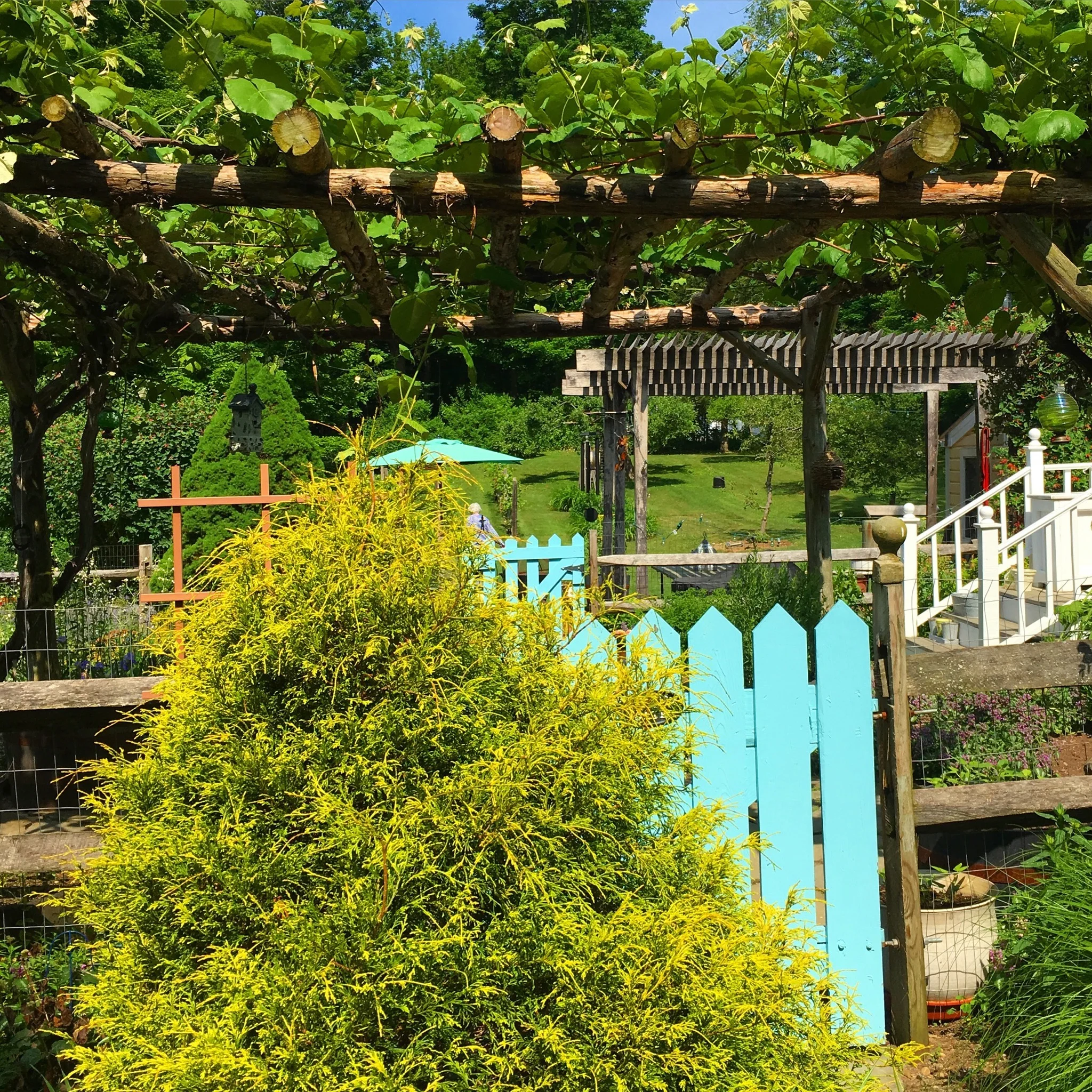 Cover Page.jpg