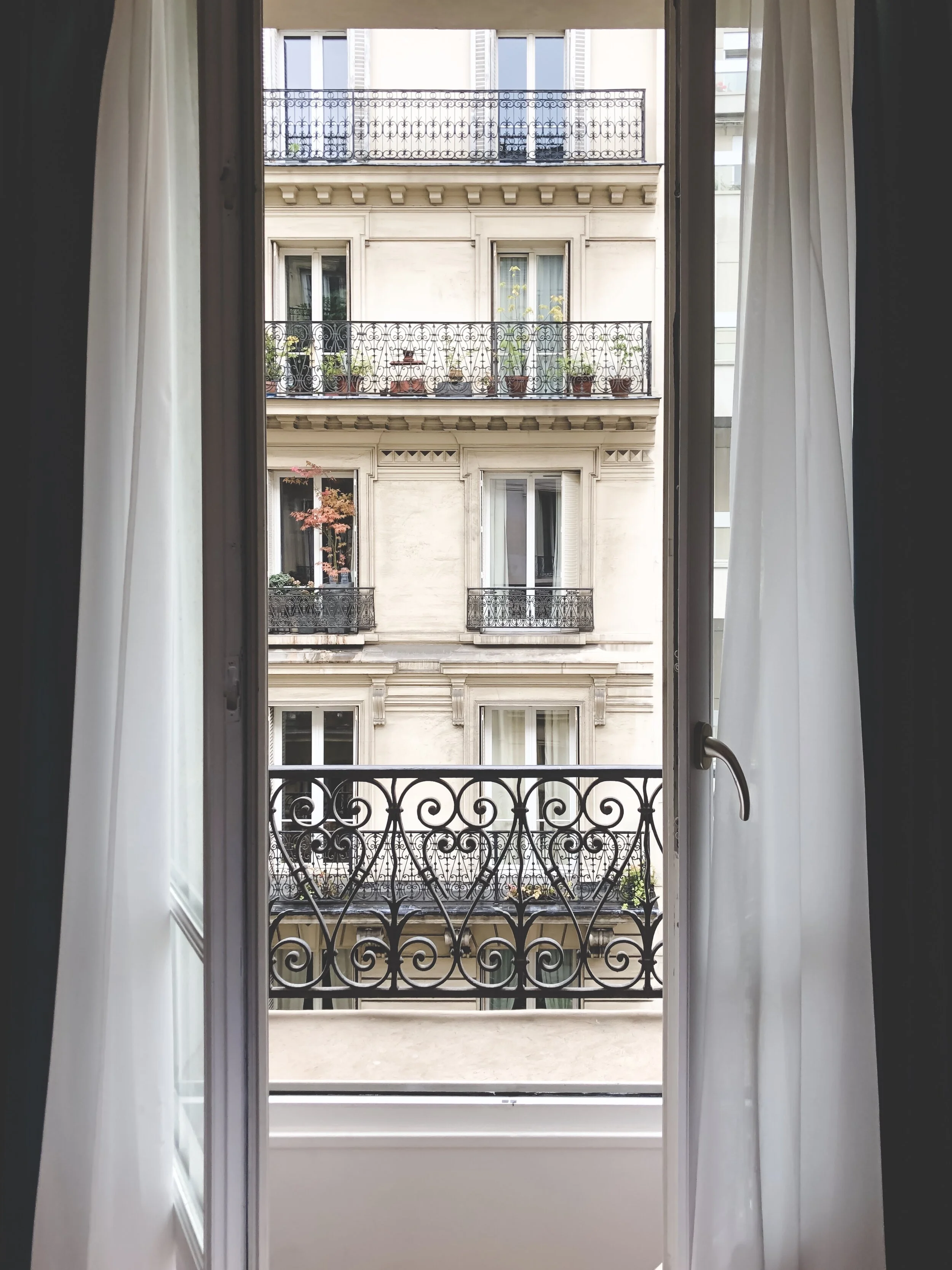 VickyHopkins-Paris1.JPG