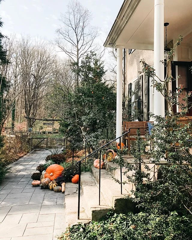 I love this place but I may be biased 🥰🍁🍂