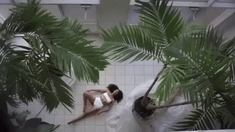 Provided by GIPHY