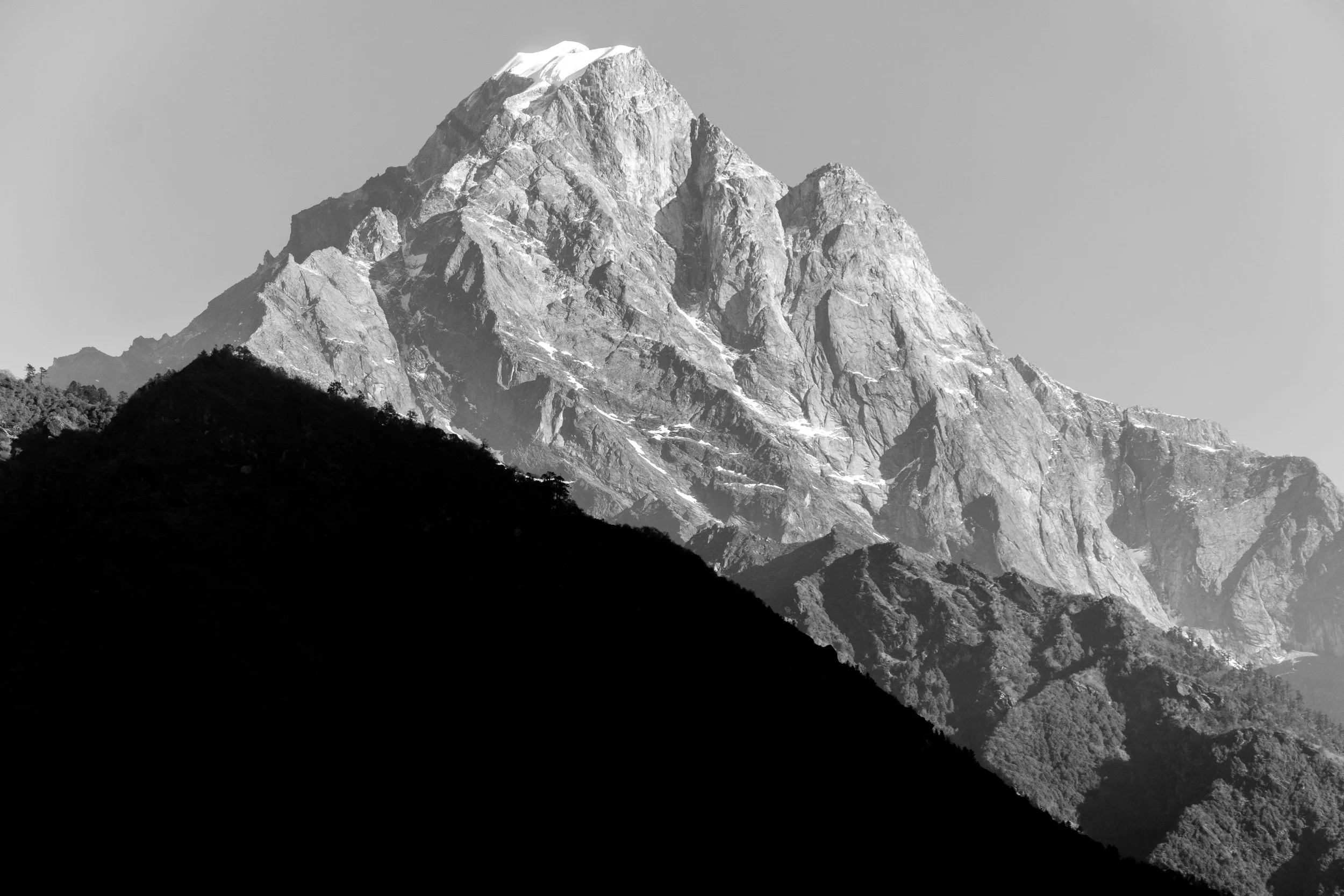 _MTW0676.jpg