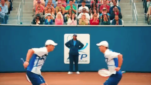 giphy-1.gif