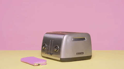 giphy-1.gif
