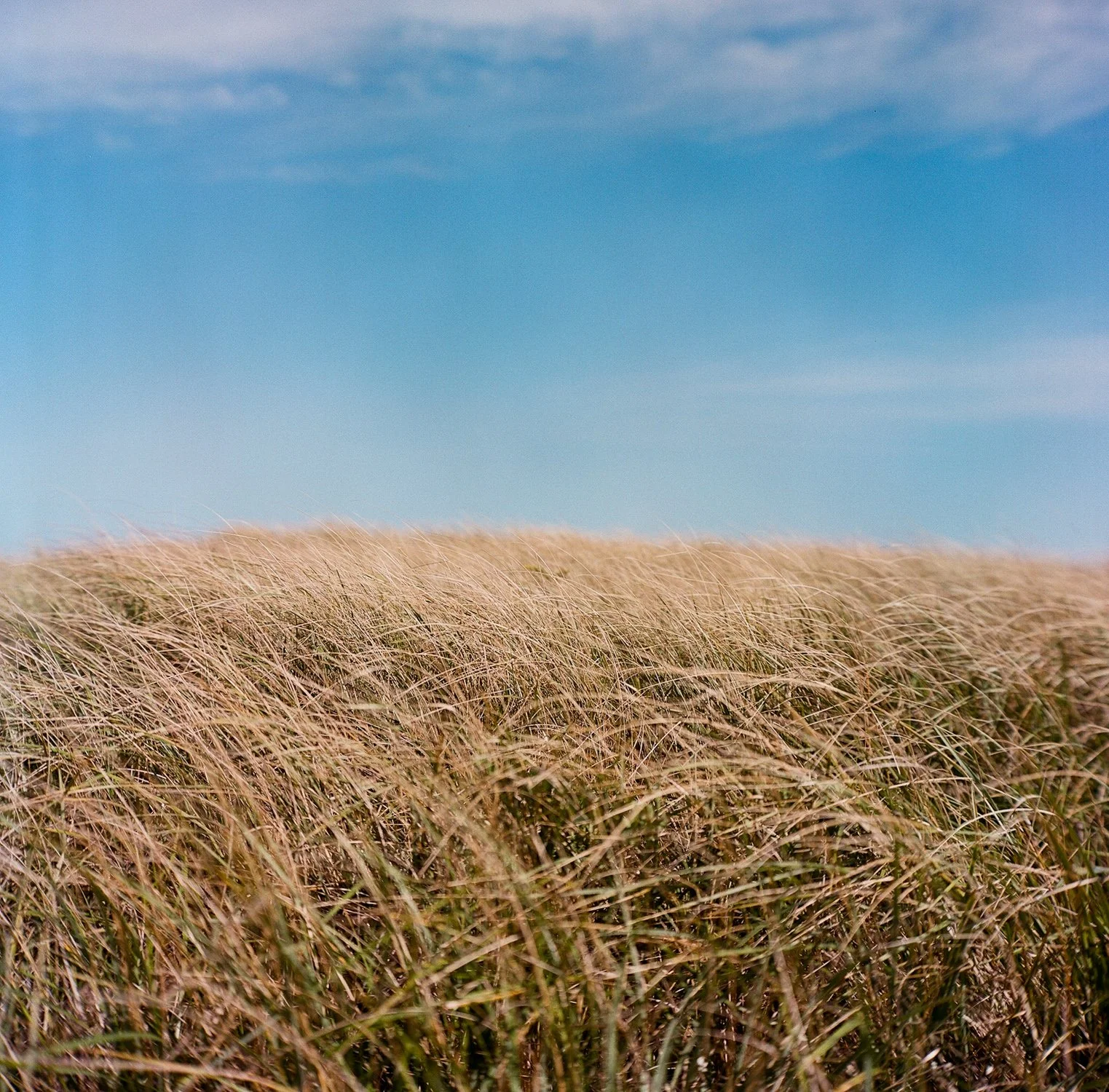 012_Chatham_Bars_Inn_kateheadley_capecod.jpg