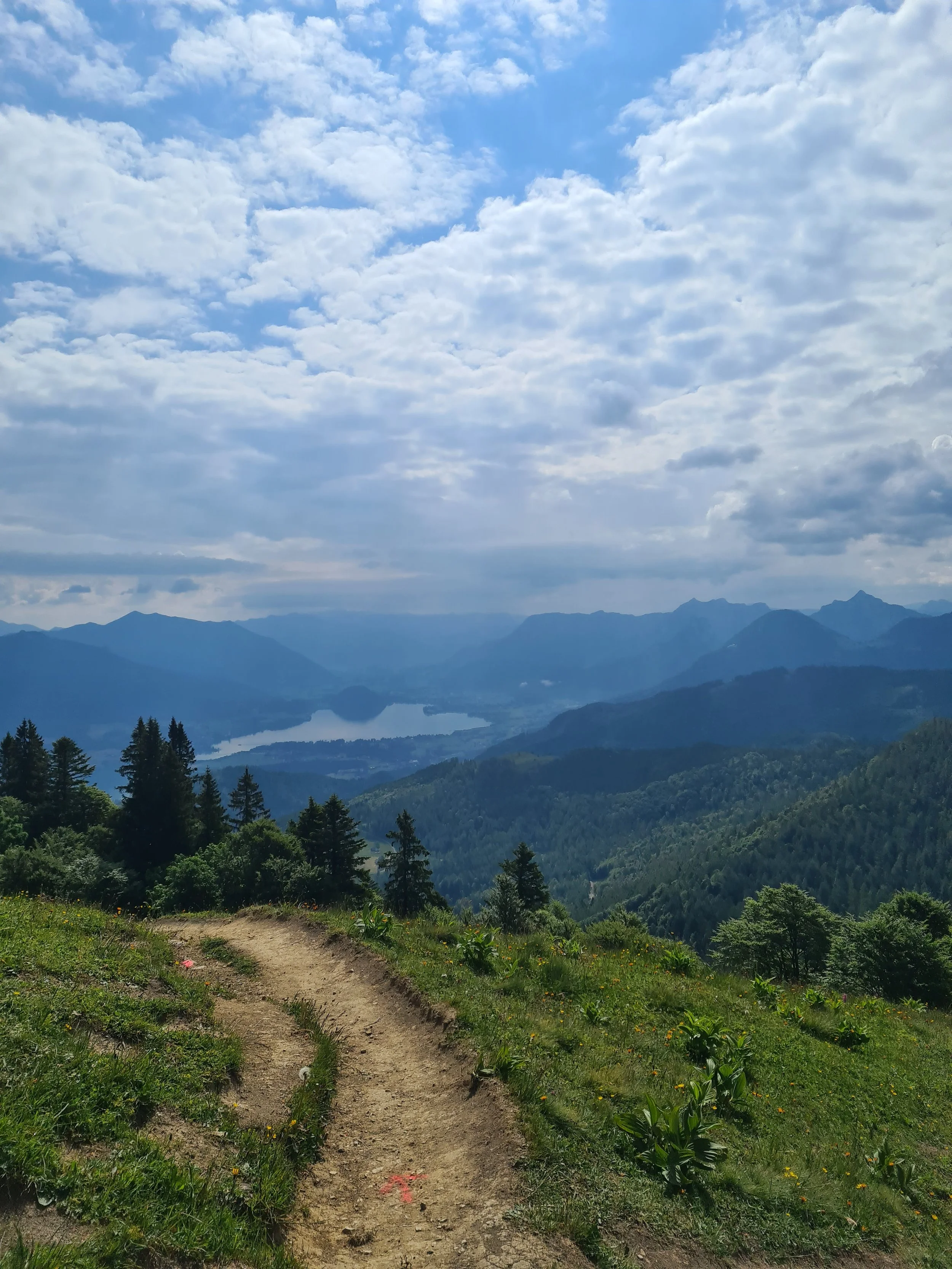 NAVIGATING THE UPS AND DOWNS OF ULTRA TRAINING: A PERSONAL REFLECTION