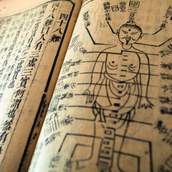 Primal Healing Arts Center
