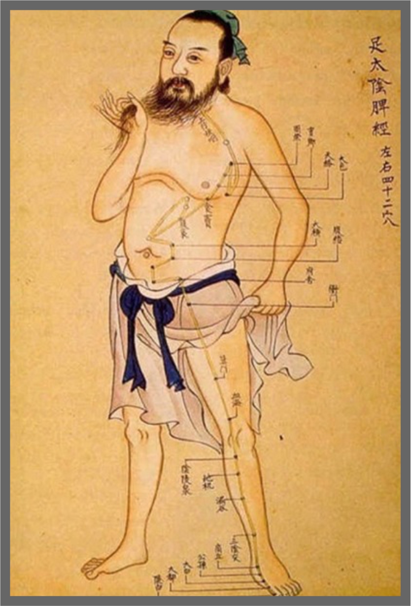 Primal Healing Arts Center