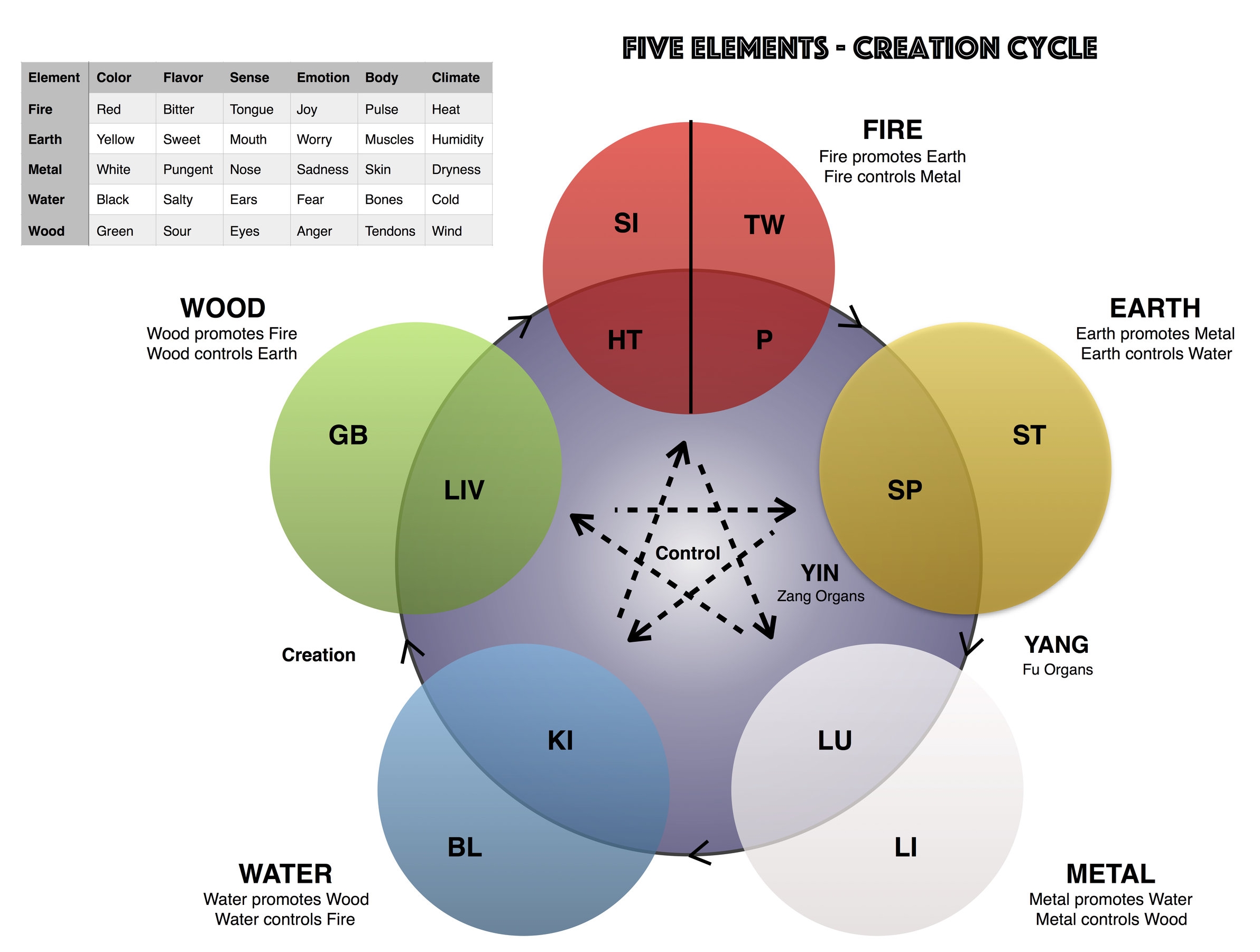TCM - Five Elements jpeg.jpg