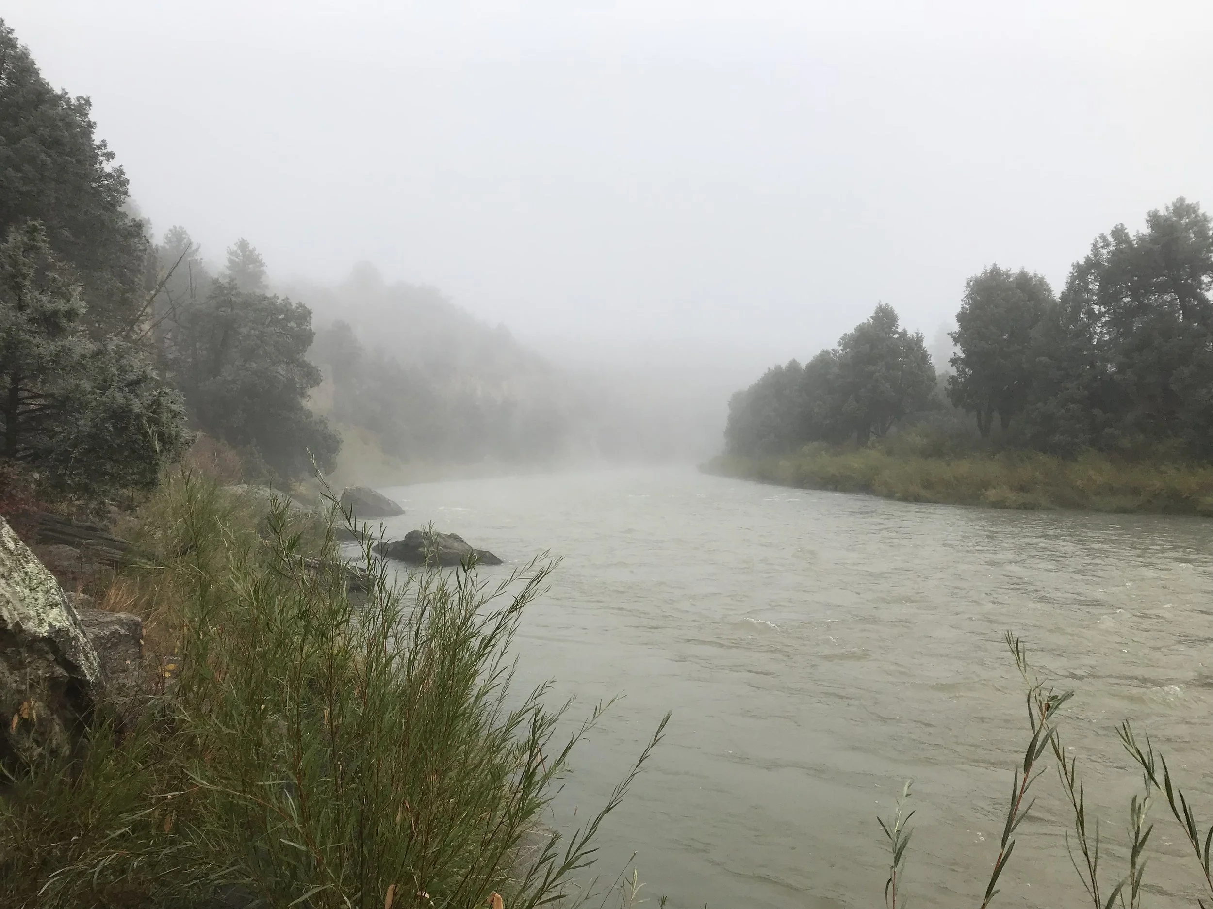 IMG_0909.jpeg