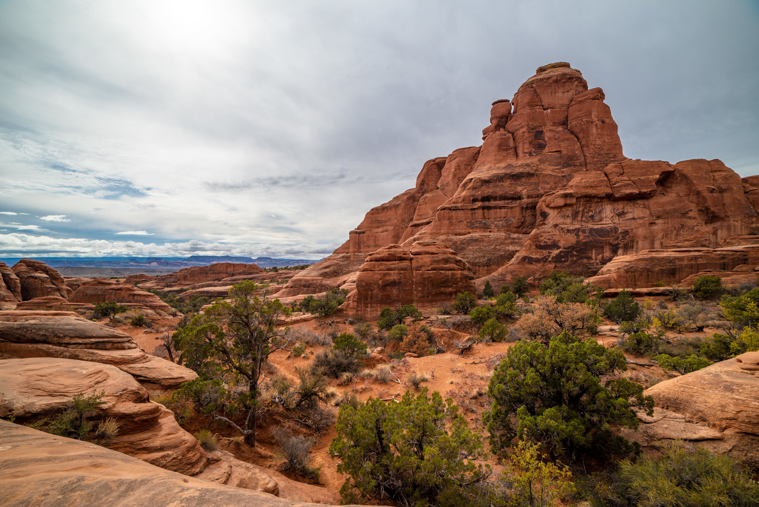 The Navajo Sandstone