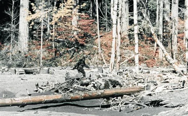 bigfoot1-kysG-U60733988322OHH-624x385@El Correo.jpg