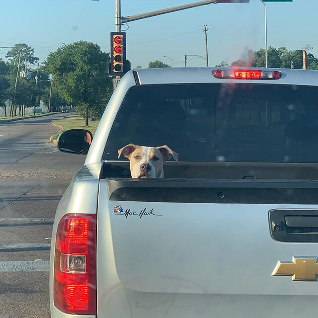 This is what I saw on the way to work this morning.