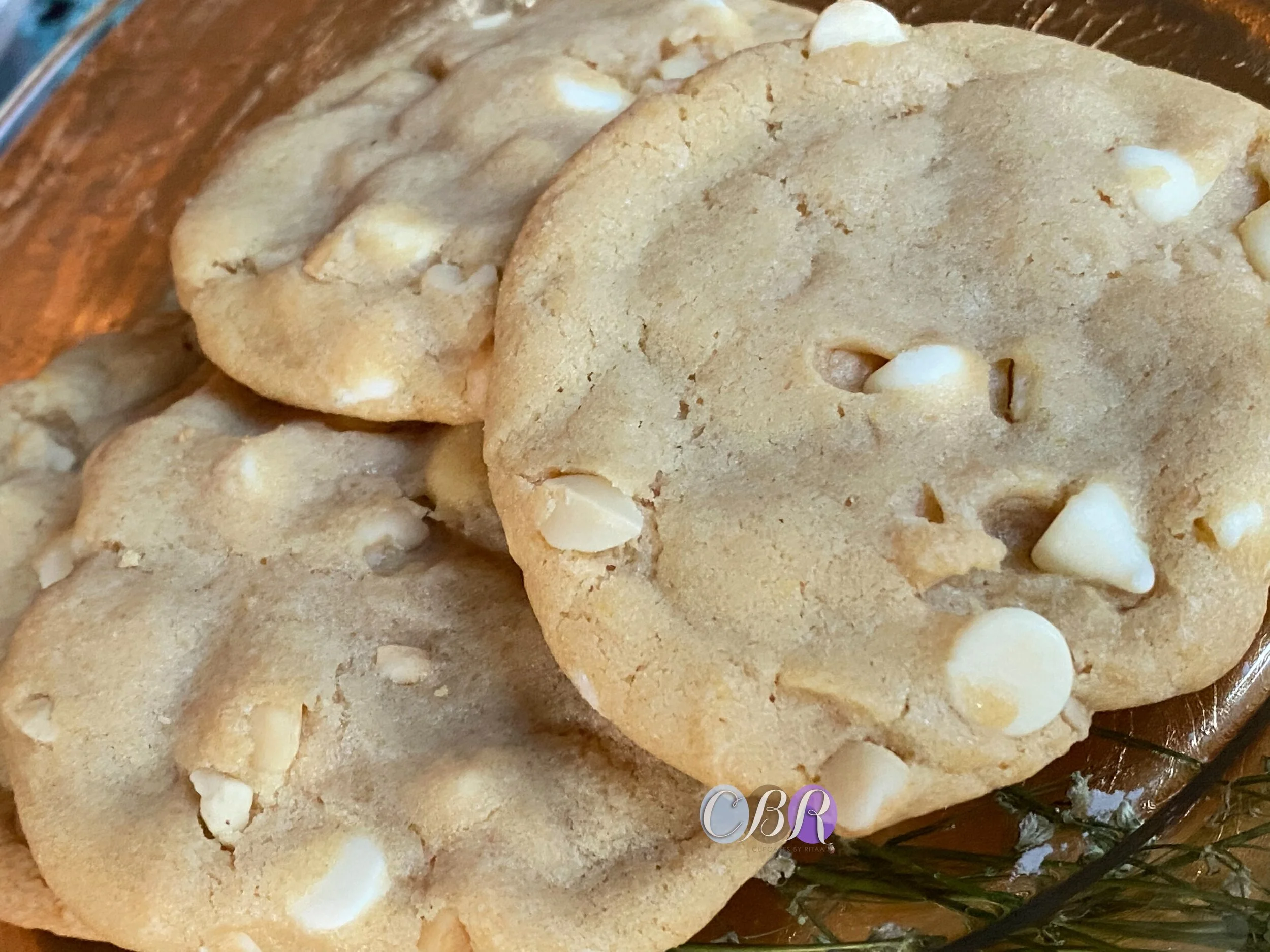 4A3CB12A-6C3D-4E73-B80F-2BEDA8EC294B