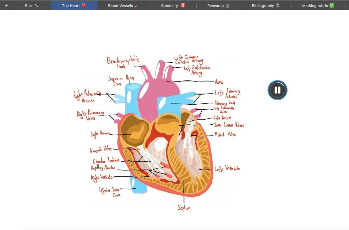 Visualising Learning in Science