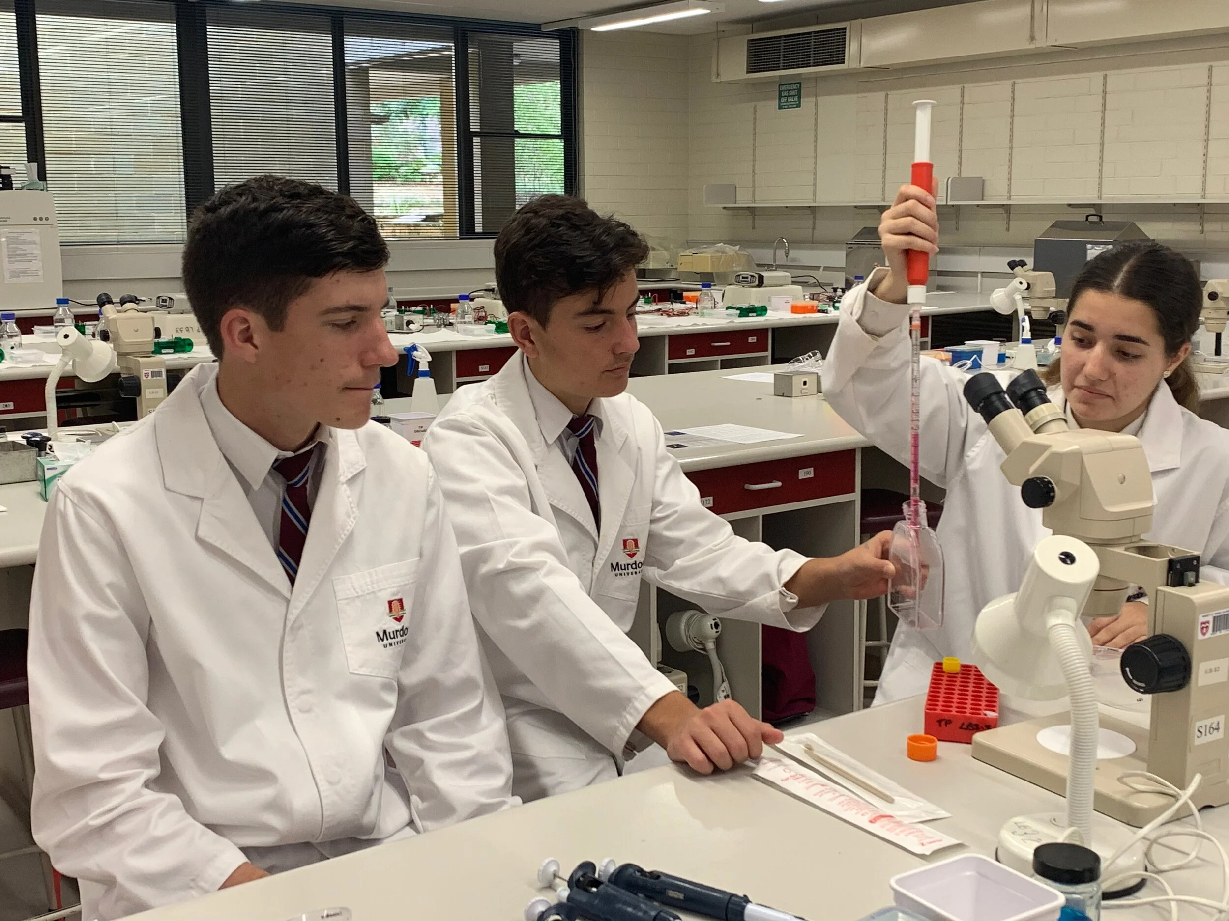 Biotechnology and Conscience – Year 10 Religious Education 