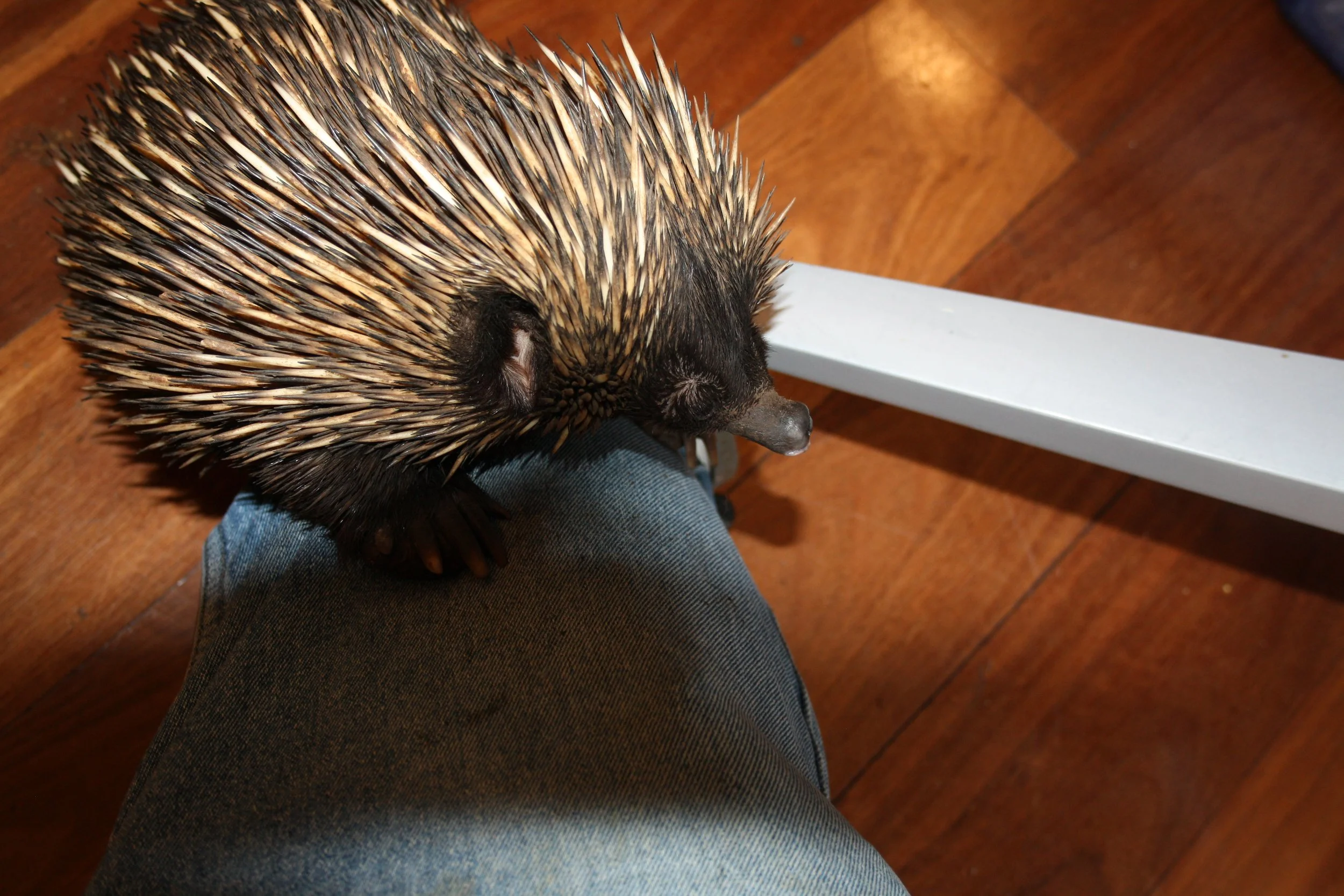 Year 11 Biology Camp