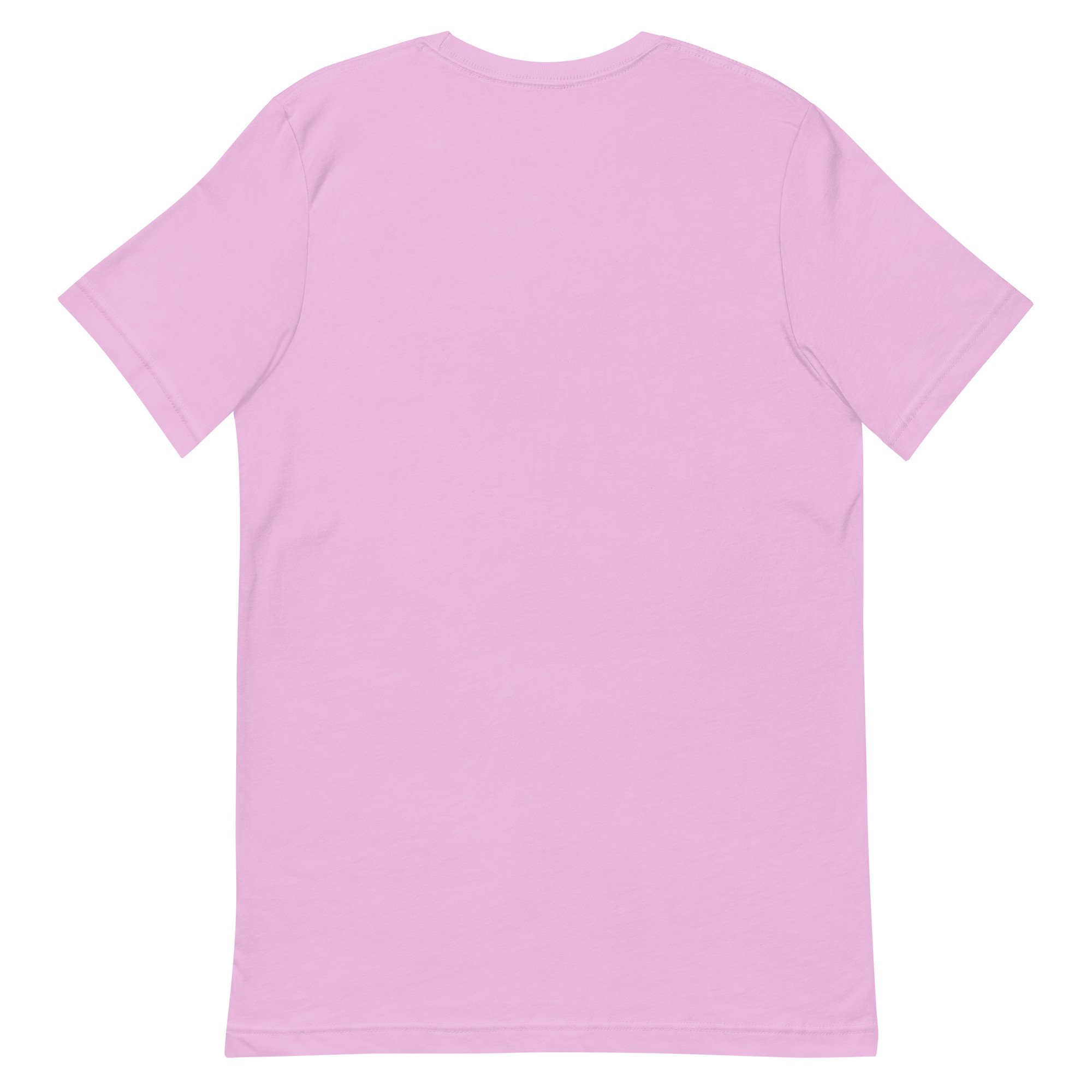 unisex-staple-t-shirt-lilac-back-69ebf441ae415.jpg