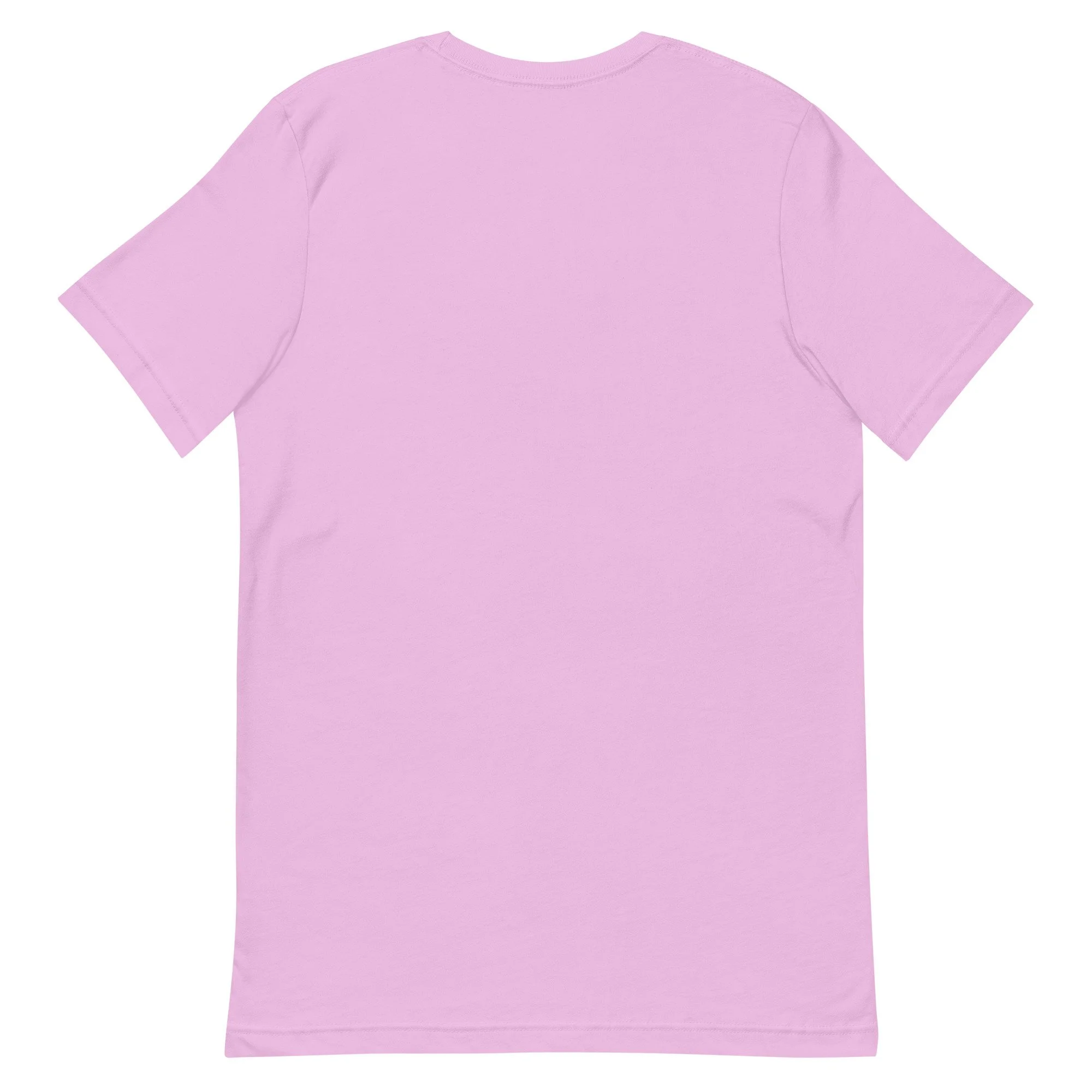 unisex-staple-t-shirt-lilac-back-69ebf6b6c5cad.jpg