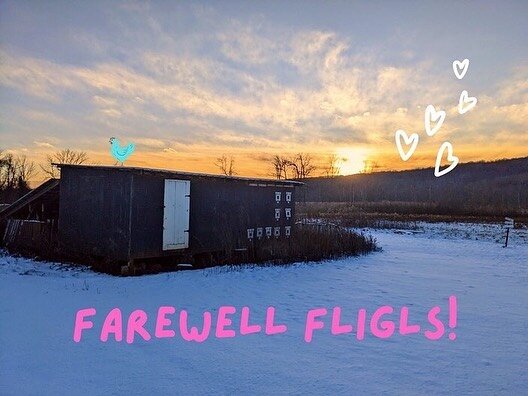 ❄️ Snowy Tevet love from what was, until very recently, Linke Fligl! The land is quiet, awaiting new projects from our friends at WILDSEED who are now tending this sacred place.

💔 We&rsquo;re writing with tender hearts as we say &ldquo;goodbye for 