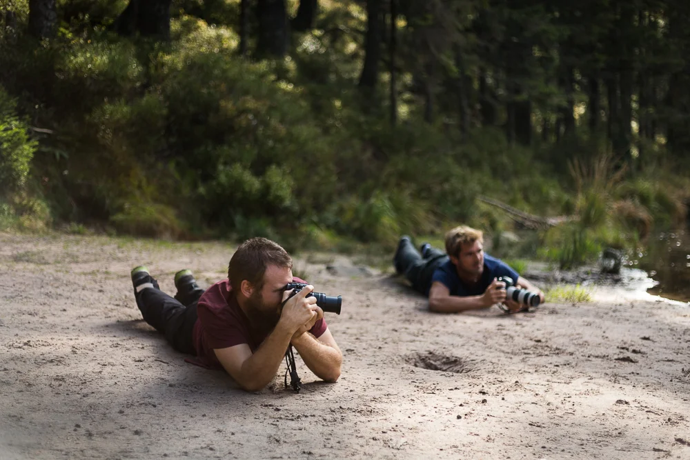 Vogelleben im Nationalpark