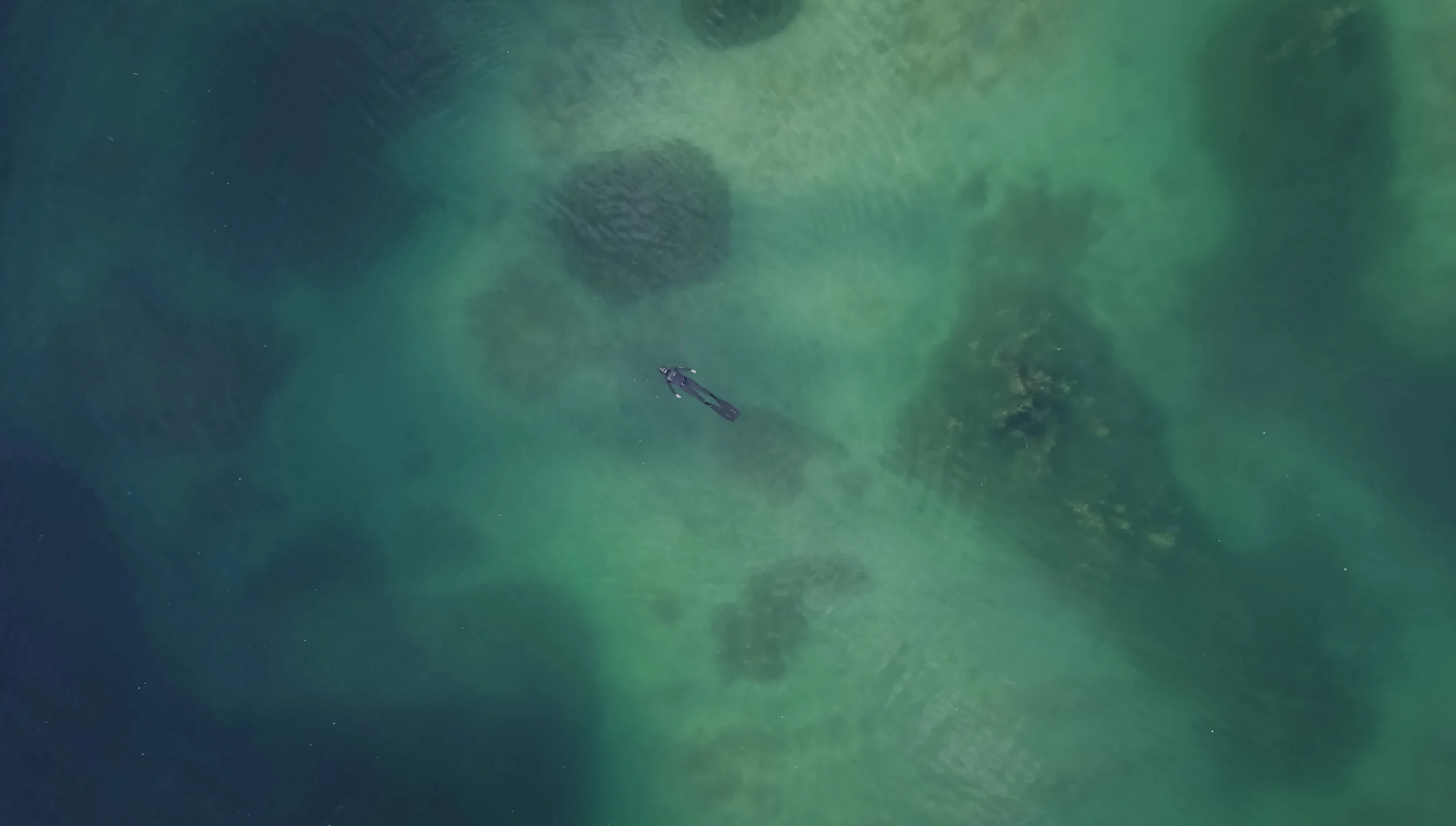 Sophie erzählt vom Unterwasserwelten Camp