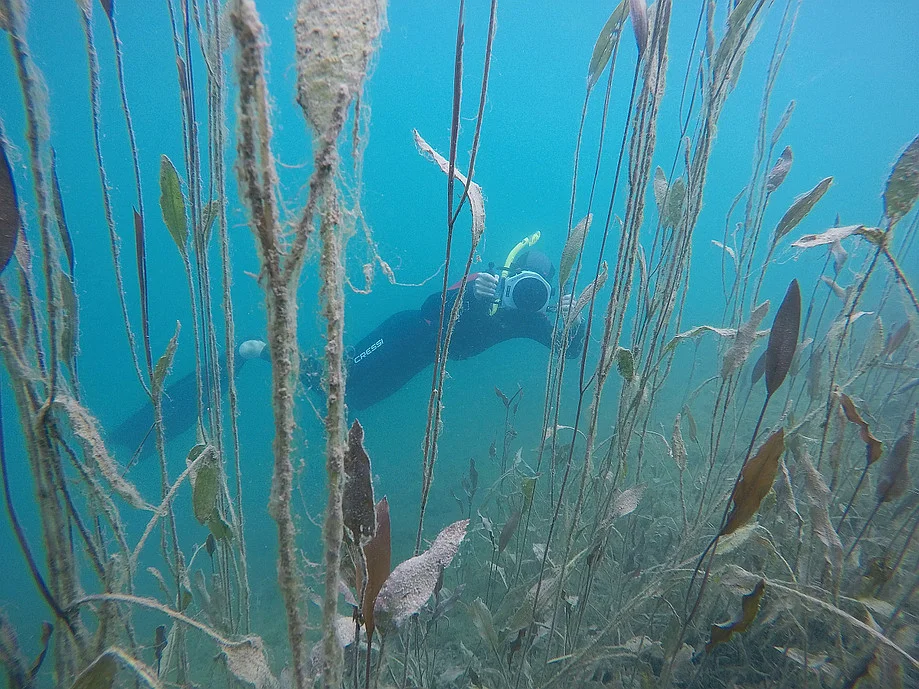 Stephan beim Fotografieren der Unterwasserwelt.