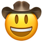 face-with-cowboy-hat_1f920.png
