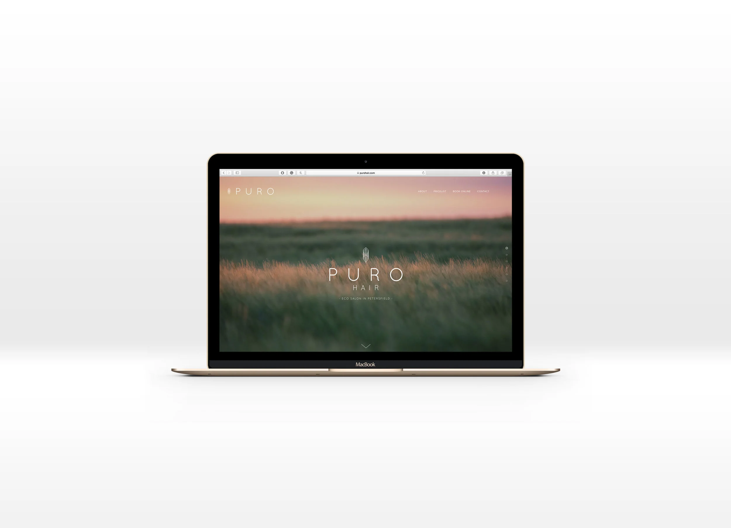 Puro Website.jpg