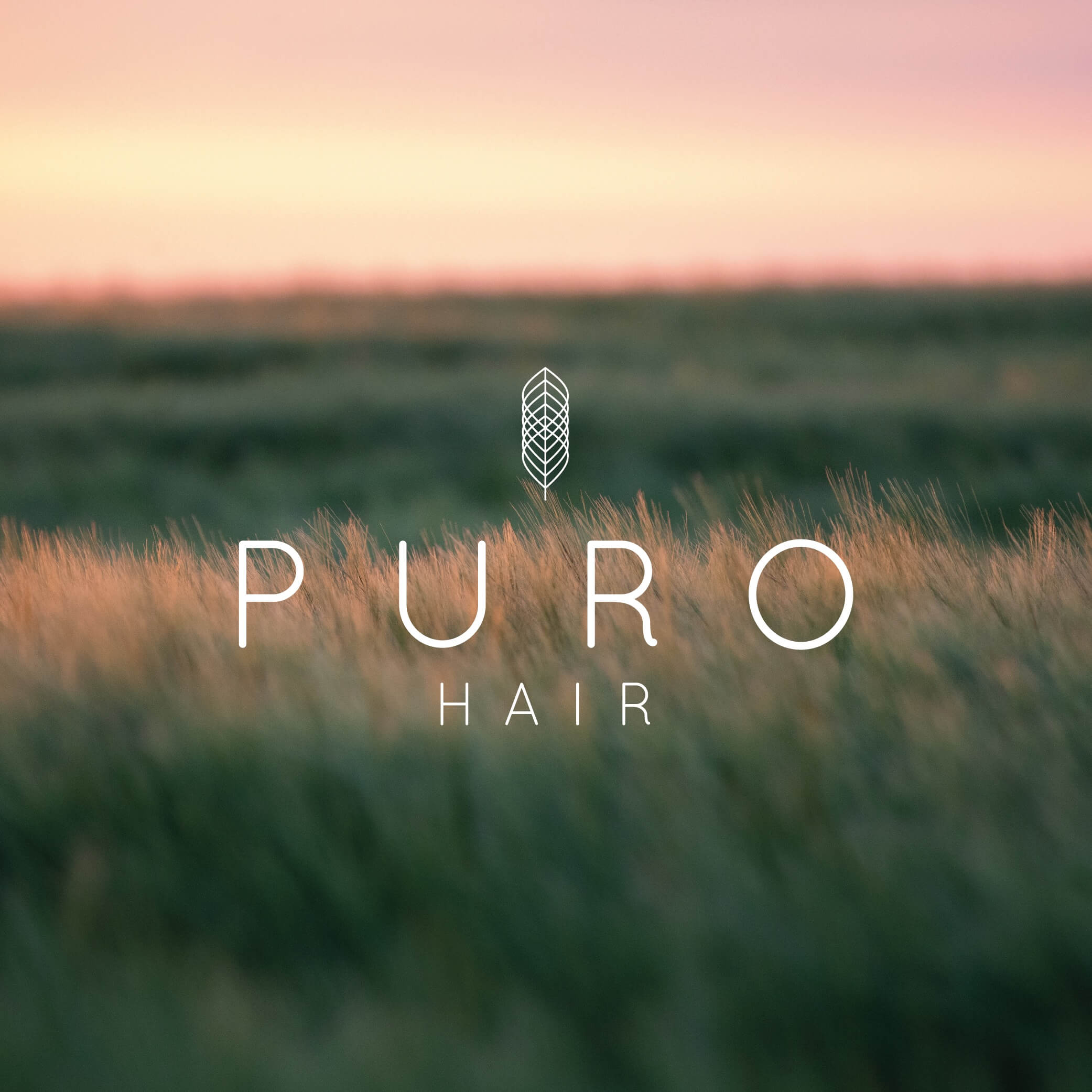 Puro Hair Logo Design - Apollo Creative Co.