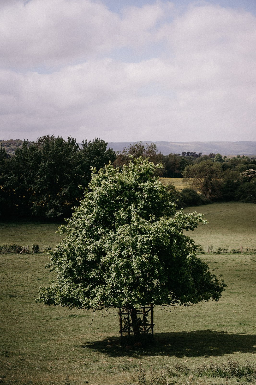 Caroline & Ryan _ Folly Farm-53.jpg