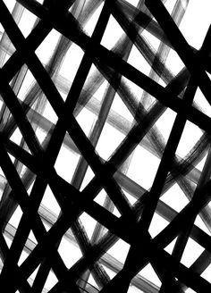 caae9b789484769c8d8896daf43a2e7e.jpg